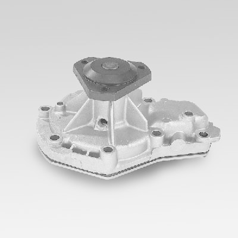 HEPU Wasserpumpe, Motork&uuml;hlung P819