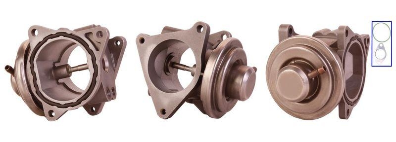 DRI EGR Valve
