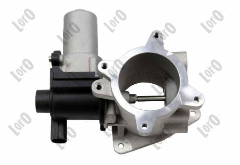 EGR Valve