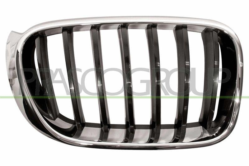 Radiator Grille Premium