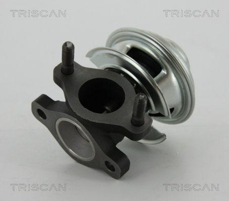 TRISCAN EGR Valve