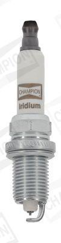 CHAMPION Spark Plug IRIDIUM