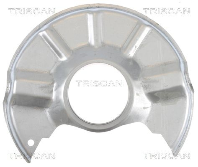 TRISCAN Splash Panel, brake disc