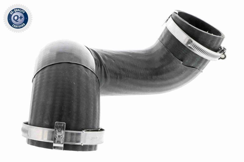 VAICO Ladeluftschlauch Q+, Erstausrüsterqualität V10-3792