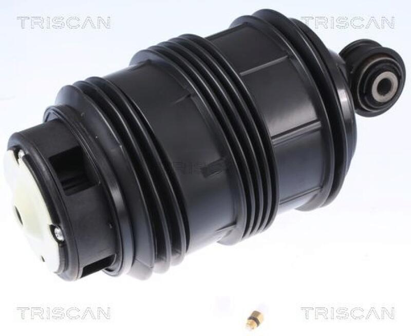 TRISCAN Air Spring, suspension