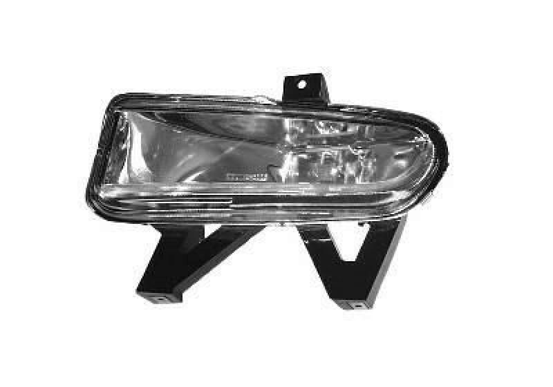 VAN WEZEL Fog Light