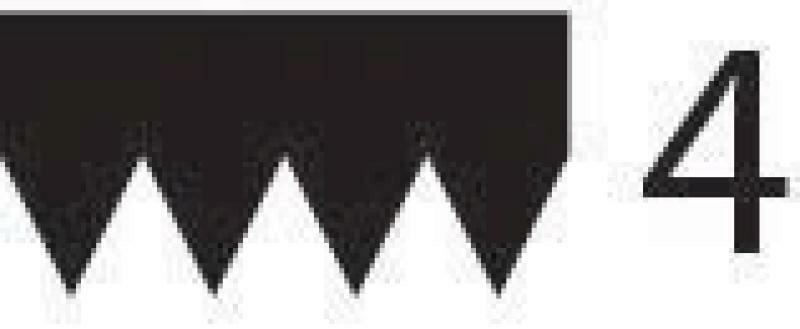 TRISCAN Keilrippenriemen 8640 401360