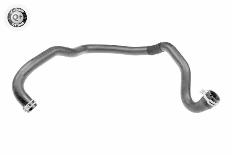 VAICO K&uuml;hlerschlauch Q+, Erstausr&uuml;sterqualit&auml;t V25-1984