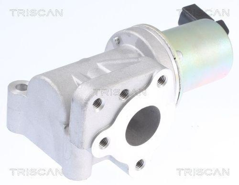 TRISCAN AGR-Ventil 8813 43015
