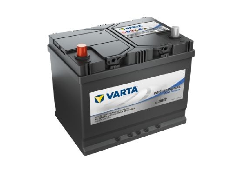 VARTA Starterbatterie Professional Dual Purpose