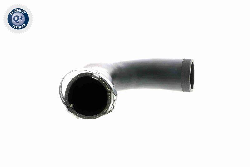 VAICO Charger Air Hose Q+, original equipment manufacturer quality