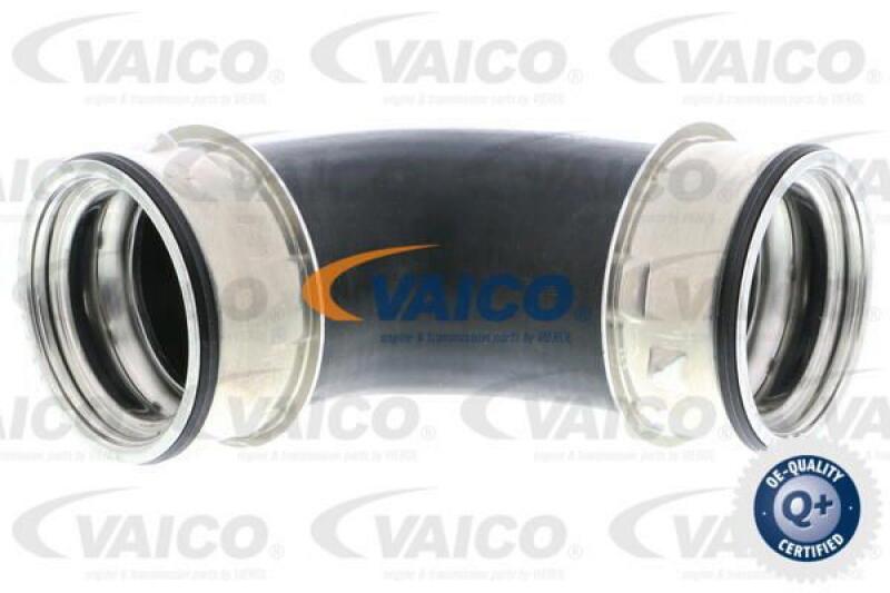 VAICO Charger Air Hose Q+, original equipment manufacturer quality