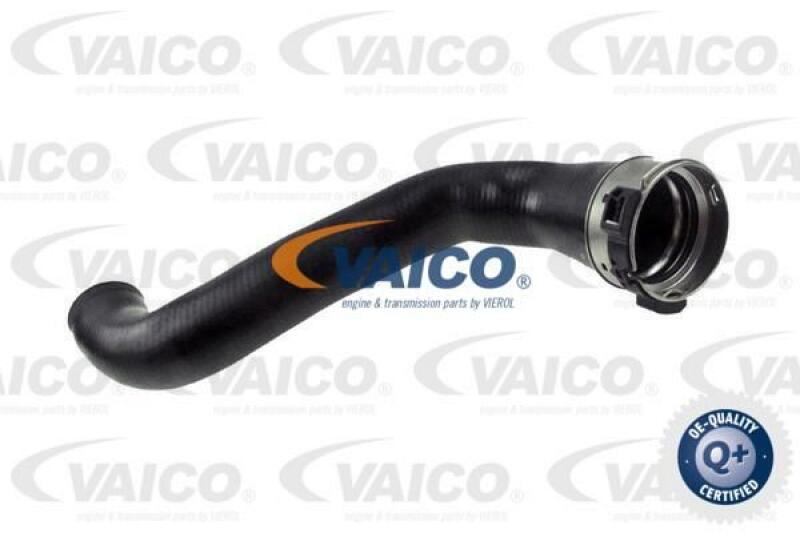 VAICO Charger Air Hose Q+, original equipment manufacturer quality