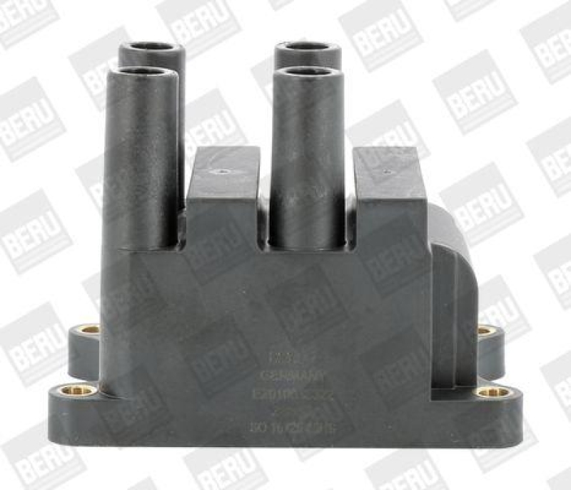 BorgWarner (BERU) Ignition Coil