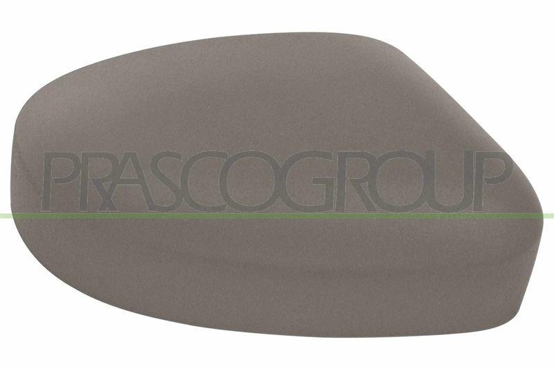 PRASCO Abdeckung, Außenspiegel