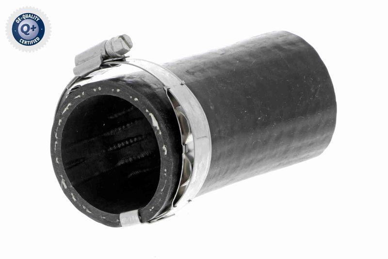 VAICO Ladeluftschlauch Q+, Erstausr&uuml;sterqualit&auml;t V10-3803