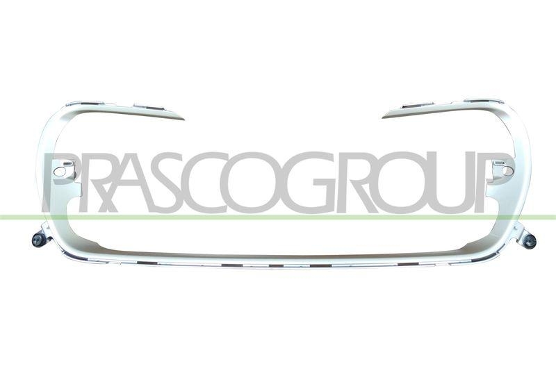 Trim/Protective Strip, radiator grille