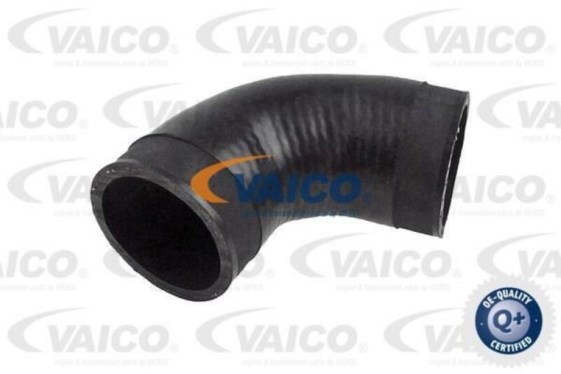 VAICO Charger Air Hose Q+, original equipment manufacturer quality