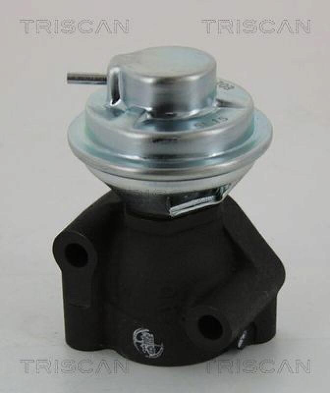 TRISCAN AGR-Ventil 8813 43040