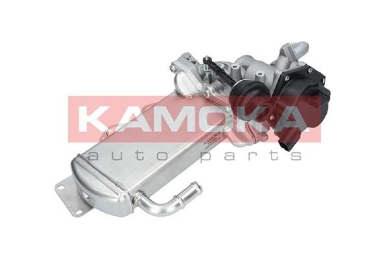 KAMOKA EGR Module