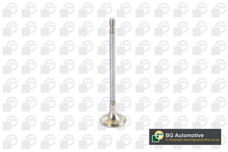 BGA Auslassventil V123003
