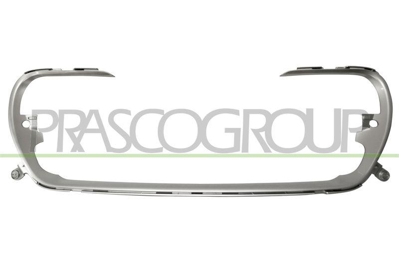 Trim/Protective Strip, radiator grille