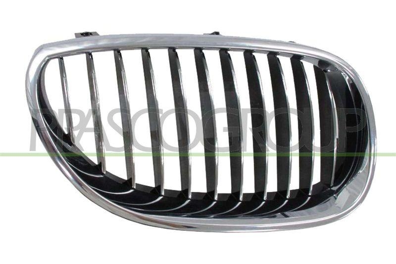 Radiator Grille