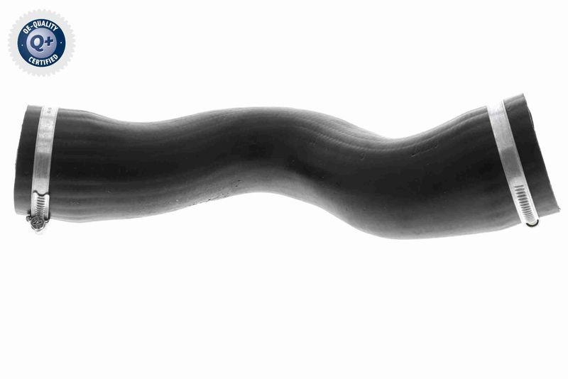 VAICO Ladeluftschlauch Q+, Erstausrüsterqualität V10-3807