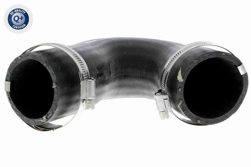 VAICO Ladeluftschlauch Q+, Erstausr&uuml;sterqualit&auml;t V10-3808