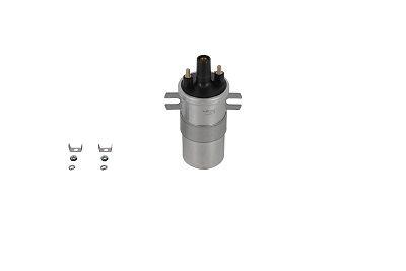 BorgWarner (BERU) Zündspule