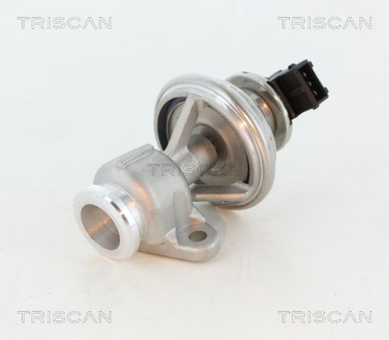 TRISCAN EGR Valve