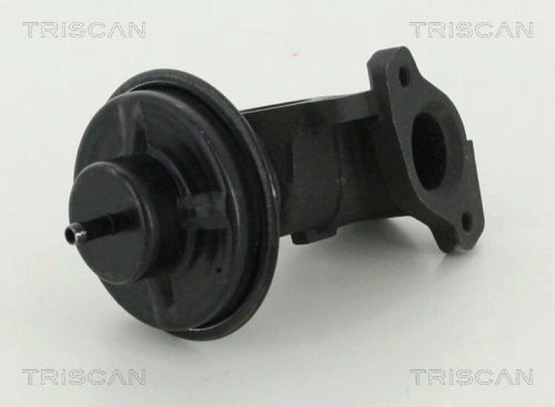 TRISCAN AGR-Ventil 8813 44020