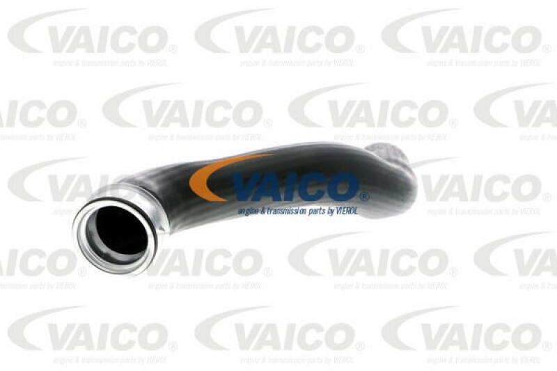 VAICO Charger Air Hose Original VAICO Quality