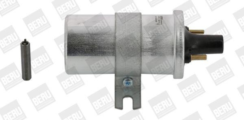 BorgWarner (BERU) Ignition Coil