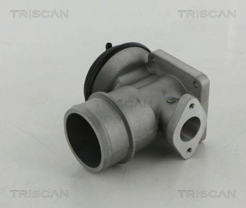 TRISCAN EGR Valve