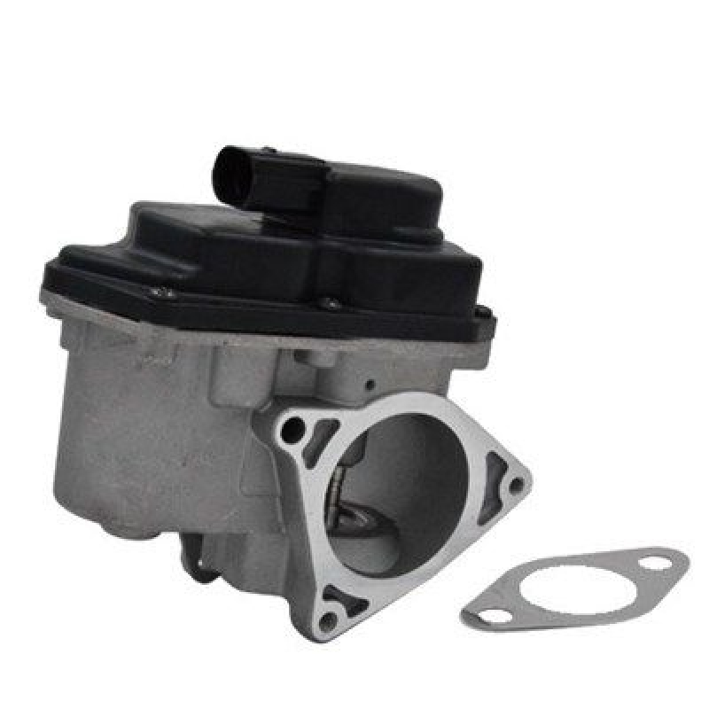 MAGNETI MARELLI EGR Valve