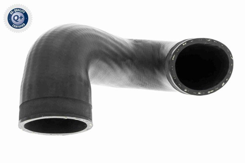 VAICO Ladeluftschlauch Q+, Erstausrüsterqualität V10-3813