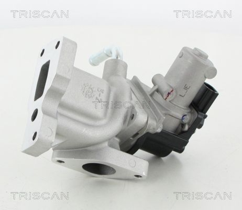 TRISCAN EGR Valve