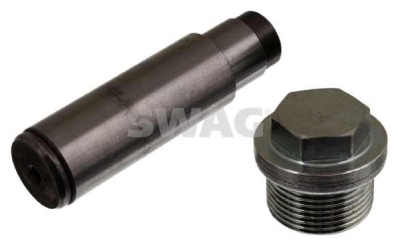 SWAG Tensioner, timing chain