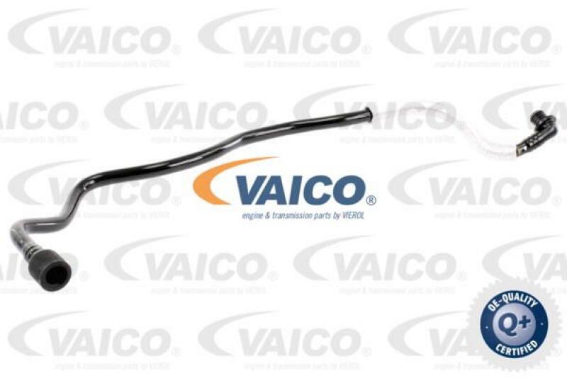 VAICO Vacuum Hose, braking system Q+, original equipment manufacturer quality