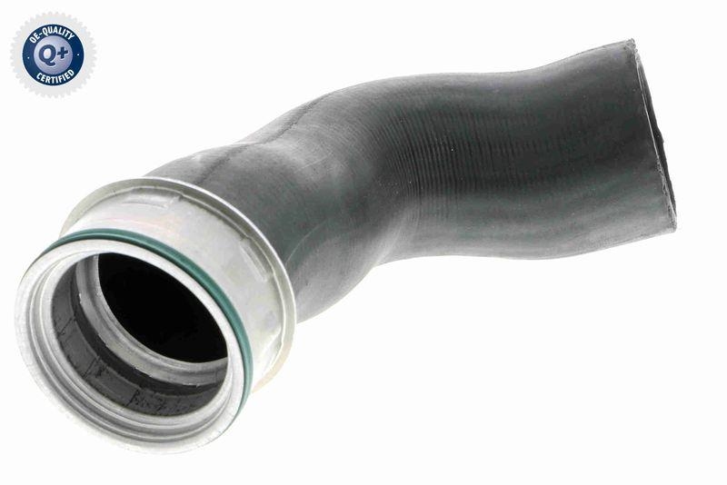 VAICO Charger Air Hose Original VAICO Quality