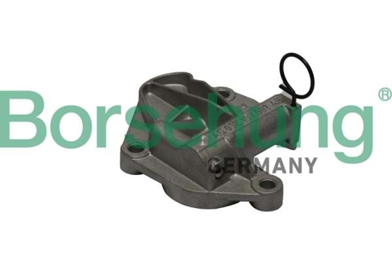 Borsehung Spanner, Steuerkette