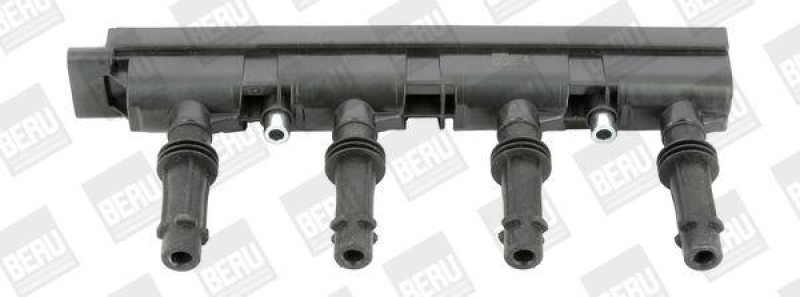 BorgWarner (BERU) Ignition Coil