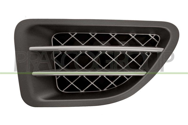 Trim/Protective Strip, wing