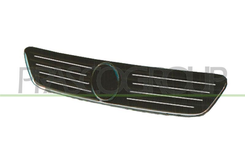 Radiator Grille Premium