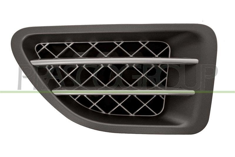 Trim/Protective Strip, wing