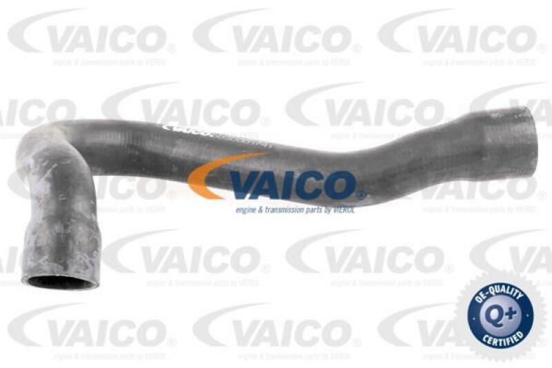 VAICO Radiator Hose Q+, original equipment manufacturer quality