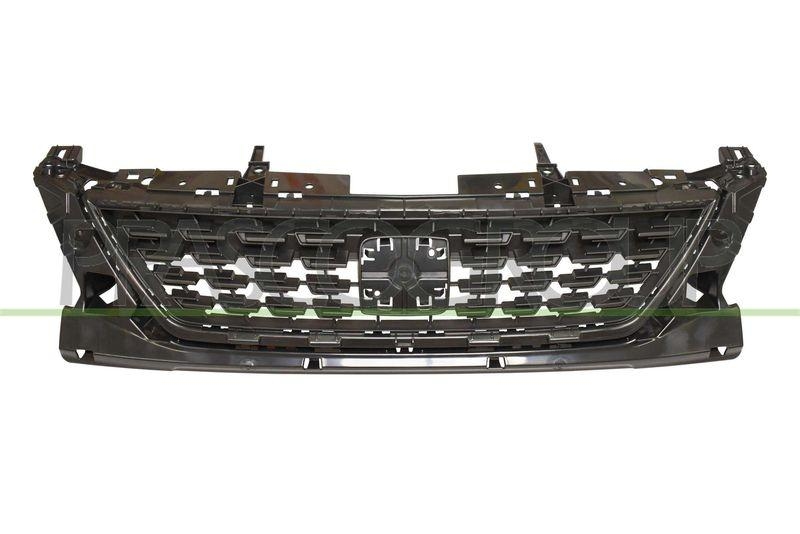 Radiator Grille