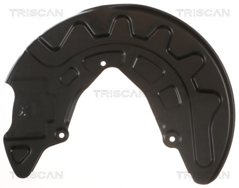 TRISCAN Splash Panel, brake disc