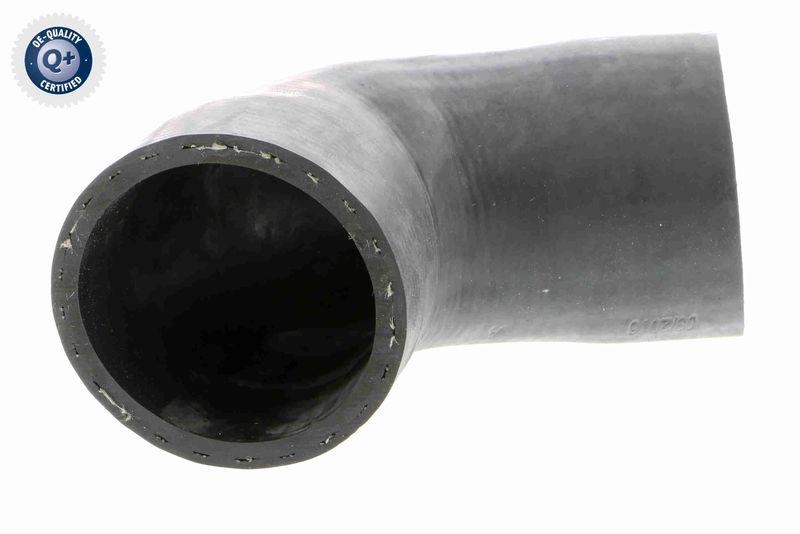 VAICO Charger Air Hose Original VAICO Quality